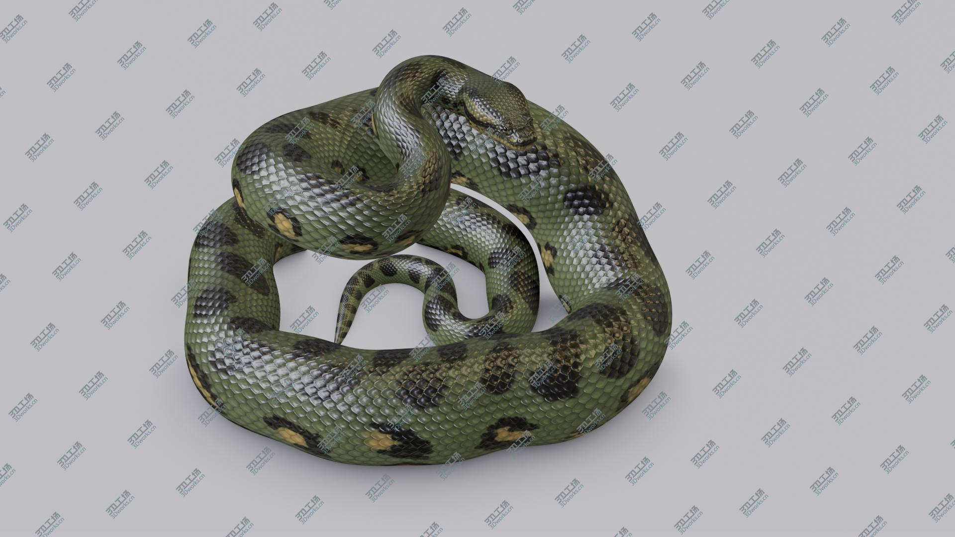 images/goods_img/20210319/3D model Animated Green Anaconda/4.jpg